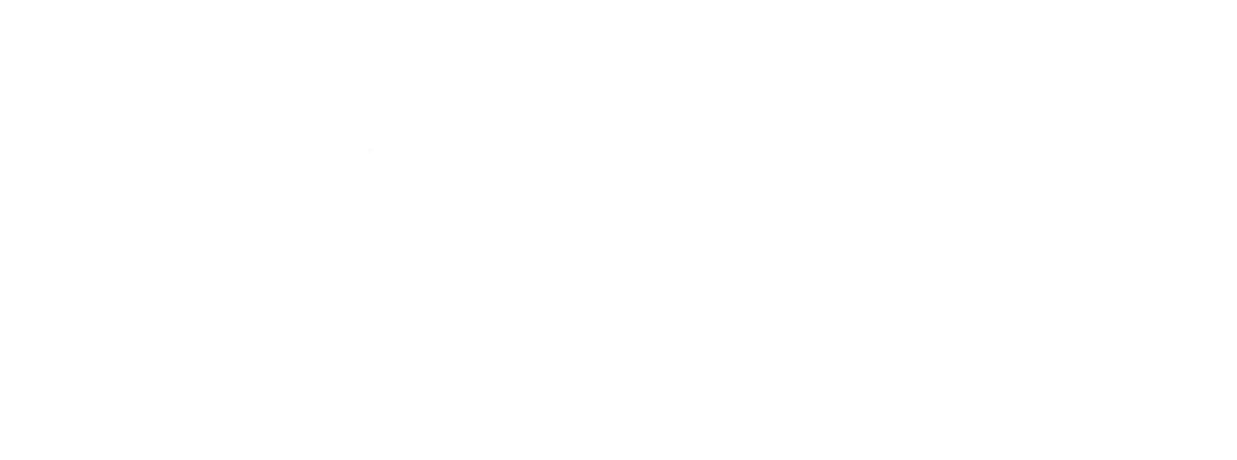 techlink logo white reverse 1